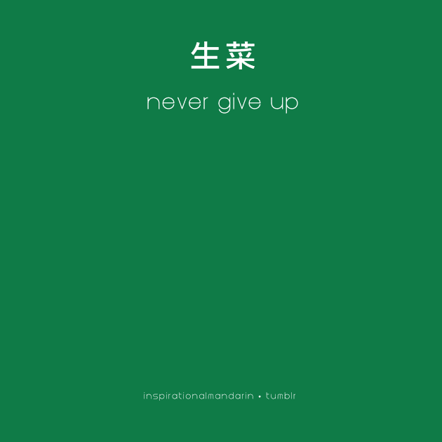 Never Give Up by inspirationalmandarin