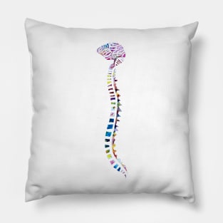 Funfetti Brain and Spine (White background) Pillow