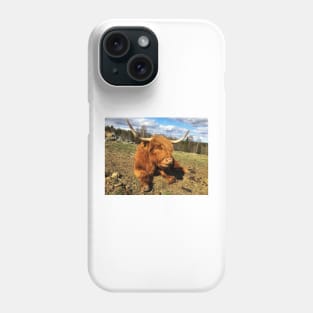 Scottish Highland Cattle Cow 2375 Phone Case