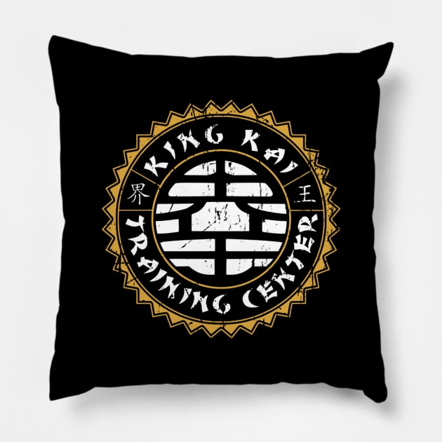 traning center Pillow by terilittleberids