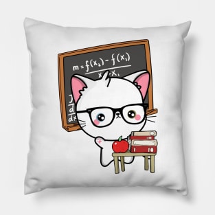 Funny White Cat is teaching Pillow