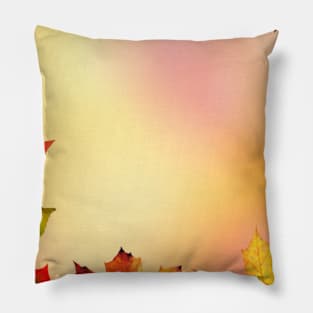 Circle Abstract Autumn Colorful Luminous Pillow