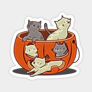 Pumpkin Cats Magnet