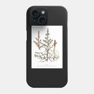 Russian Thistle Phone Case