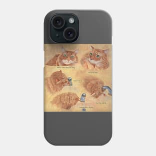 Orange Cat and Water Faucet Phone Case