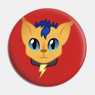 Flash Sentry cat Pin