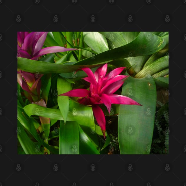 Hot Pink and Green Plants by HFGJewels