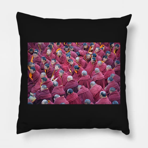 Peaceful Assembly Pillow by AlexaZari