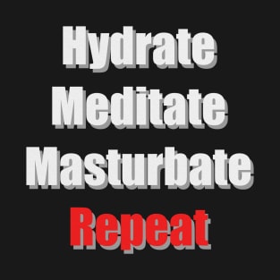 Hydrate Meditate Masturbate Repeat T-Shirt