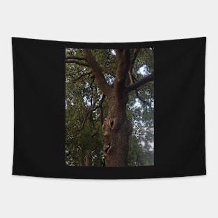 Trees Have Feelings! Tapestry