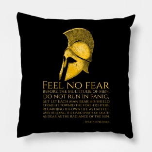 Motivational Ancient Spartan Proverb Pillow