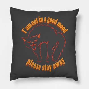 I am not in a good mood please stay away Pillow