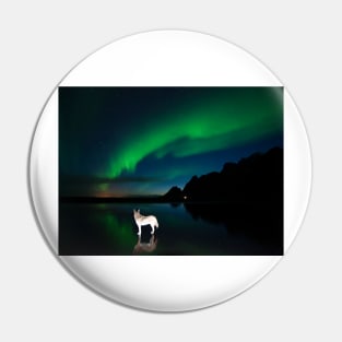 Balto and the aurora. Pin