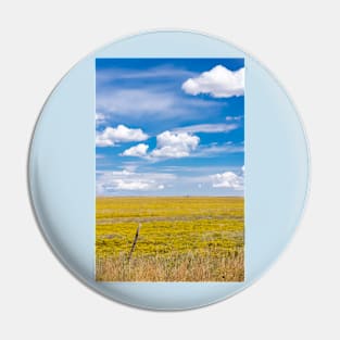 Yellow fields under blue cloudy sky Pin