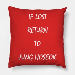 if lost return to jhope Pillow