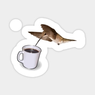 Hummingbird Drinking Coffee Magnet