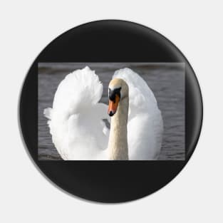 Elegant swan Pin