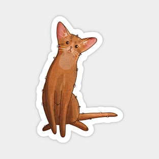 Abyssinian cat - gifts for cat lovers Magnet