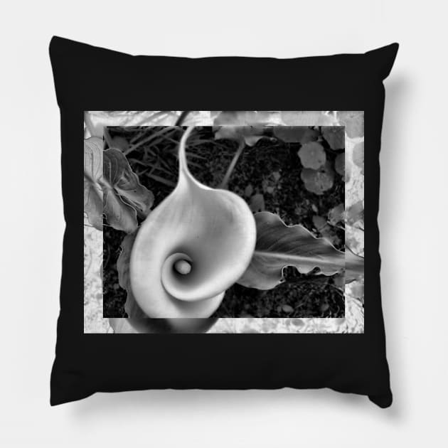 Arum desaturated. Pillow by LMHaselden