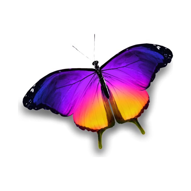 Colorful Butterfly by LizzieBug