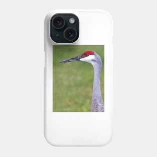 Sandhill Crane Phone Case