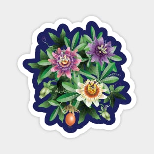 Passion Flower-Vignette Magnet