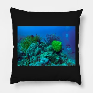 coral reefs Pillow