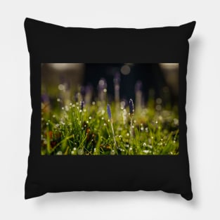 Wide Crocus Pillow