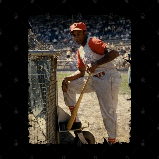 Frank Robinson in Cincinnati Reds, 1956 by PESTA PORA