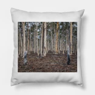 You Yangs Plantation Pillow