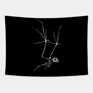 Bat Skeleton Tapestry