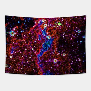 Black Panther Art - Glowing Edges 610 Tapestry