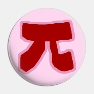 Pi Day Pin