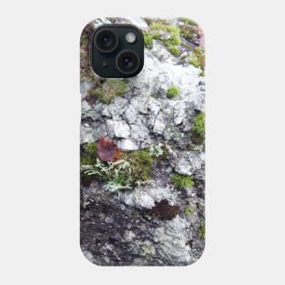 Rock and Moss Phone Case