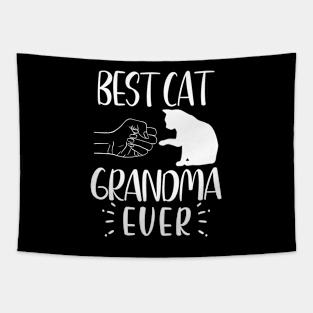 Best Cat Grandma Ever Funny Grandma Cat Lover Tapestry