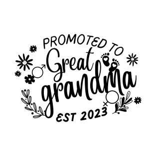 Promoted To Great Grandma 2023 funny Baby Announcement T-Shirt