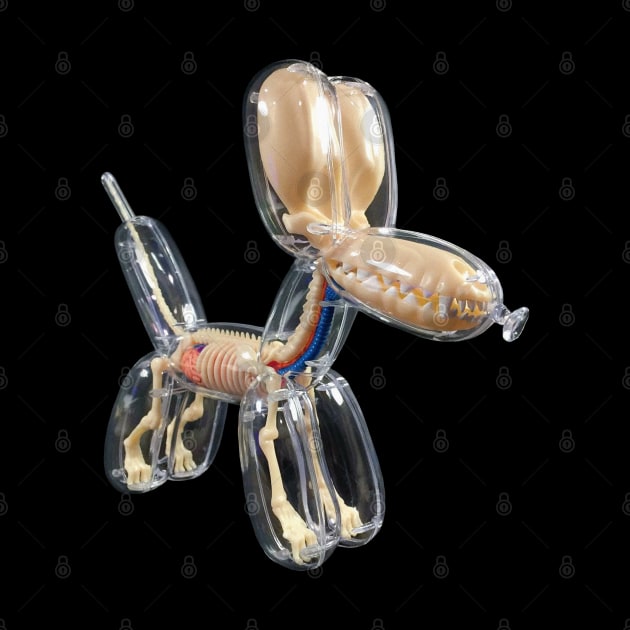 Balloon Dog Xray by TANGKORAK