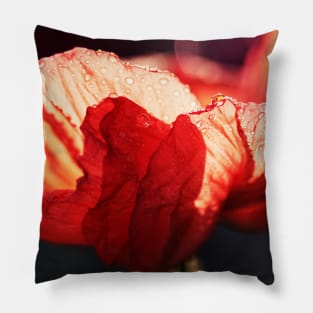 Passion Pillow