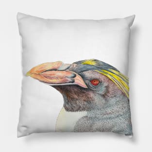 Macaroni Penguin - Antarctic bird Pillow