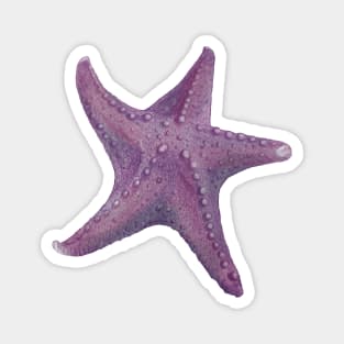 Purple sea star Magnet