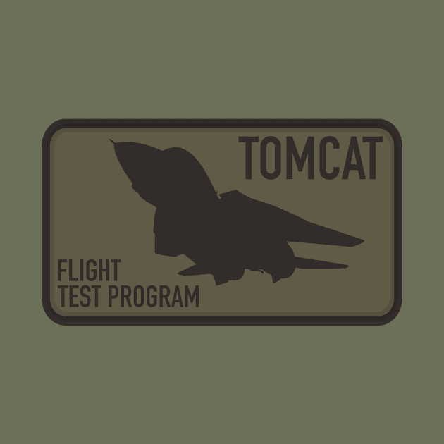 F-14 Tomcat by Firemission45