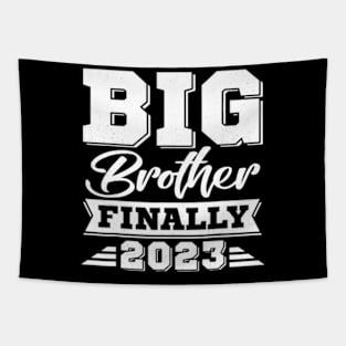 Big Brother Finally 2023 Pregnancy Announcement Tapestry