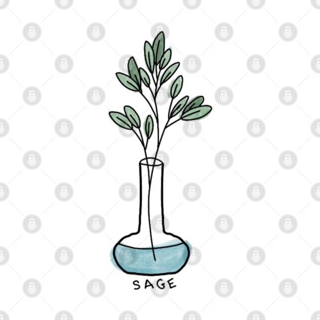 Sage bundle in vase by JuneNostalgia