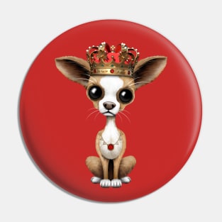 Cute Chihuahua Puppy Wearing Crown Pin