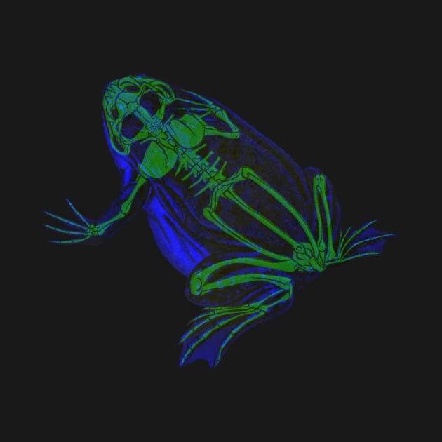 Skeleton Frog Interactive Green&Blue Filter #2 By Red&Blue by RedAndBlue