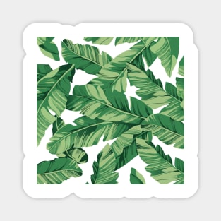 Banana leaves 1 Magnet