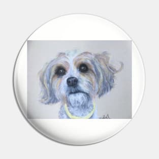 Biewer Terrier Pin