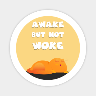 Awake but not woke funny sleeping cat Magnet