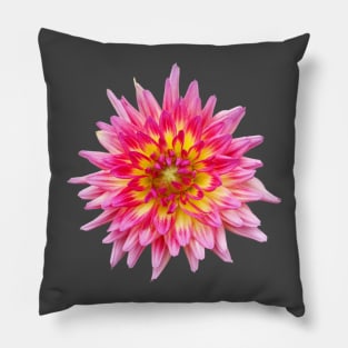 Dahlie Jowey Gipsy Pillow