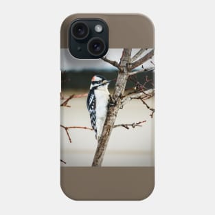 Downy Woodpecker With a Tight Grip Phone Case